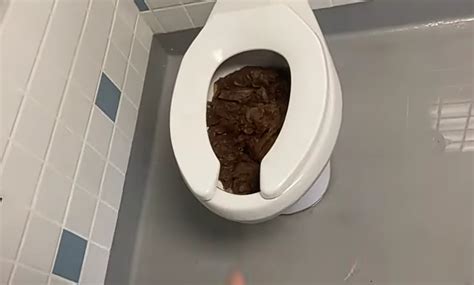 poop porn|Porn video Scat Fetish